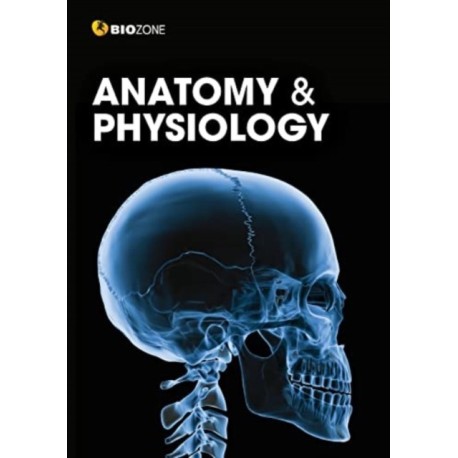 Anatomy and Physiology