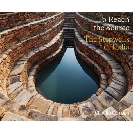 To Reach the Source: The Stepwells of India