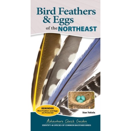 Bird Feathers & Eggs of the Northeast: Identify 40 Species of Common Backyard Birds