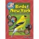 The Kids' Guide to Birds of New York: Fun Facts, Activities and 86 Cool Birds