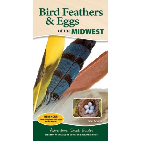 Bird Feathers & Eggs of the Midwest: Identify 40 Species of Common Backyard Birds