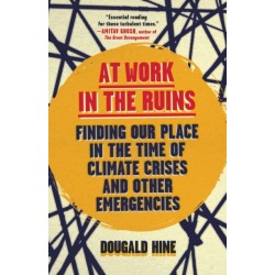 At Work in the Ruins: Finding Our Place in the Time of Climate Crises and Other Emergencies
