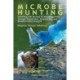 Microbe Hunting: Unveiling the Secrets of Microorganisms through Assessment, Sequencing, and Bioinformatics Analysis