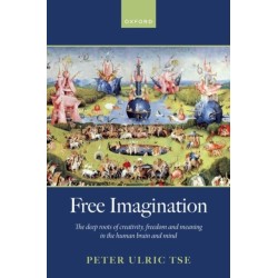 Free Imagination: The deep roots of creativity, freedom and meaning in the human brain and mind