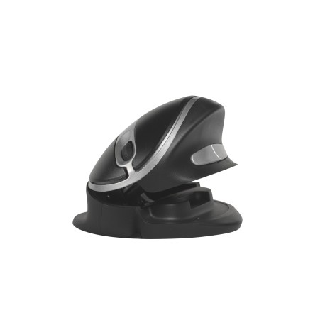 Oyster wireless mouse