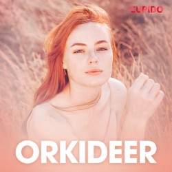 Orkideer - erotiske noveller