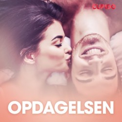 Opdagelsen - erotiske noveller