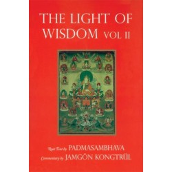 Light of Wisdom, Volume I: A Collection of Padmasambhava's Advice to the Dakini Yeshe Togyal and Other Close Disciples
