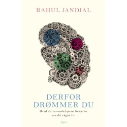 Derfor drømmer du: Hvad din sovende hjerne afslører om dit vågne liv
