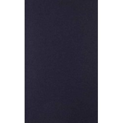 The Methodology of Economics: Nineteenth-Century British Contributions