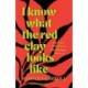 I Know What the Red Clay Looks Like: The Voice and Vision of Black Women Writers (Expanded and Revised Edition)