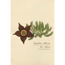 Stapelia Mixta