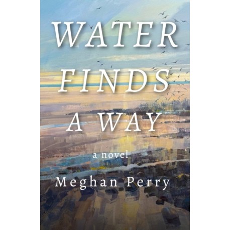 Water Finds a Way a novel
