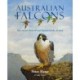 Australian Falcons: The secret lives of our fastest birds of prey