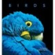 Birds: Deluxe Series