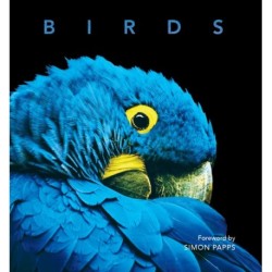 Birds: Deluxe Series