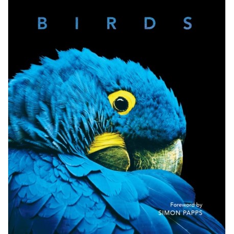 Birds: Deluxe Series