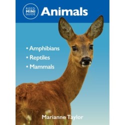 Reed Mini Guide: Animals: Amphibians l Reptiles l Mammals