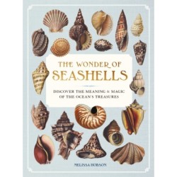 The Wonder of Seashells: Discover the Meaning & Magic of the Ocean’s Treasures
