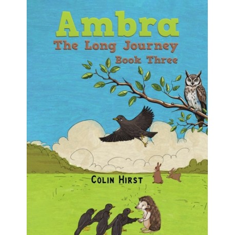 Ambra: The Long Journey: Book Three