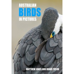Australian Birds in Pictures: Compact edition