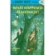 Hardy Boys 10: What Happened at Midnight