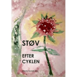 STØV EFTER CYKLEN