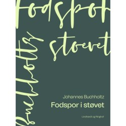 Fodspor i støvet