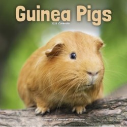 Guinea Pigs Calendar 2025  Square Animal Wall Calendar - 16 Month