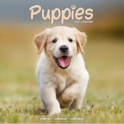 Puppies Calendar 2025  Square Animal Wall Calendar - 16 Month