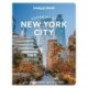 Lonely Planet Experience New York City