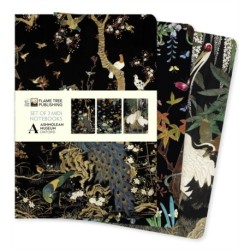 Ashmolean Museum Set of 3 Midi Notebooks