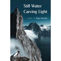 Still Water Carving Light: Poems