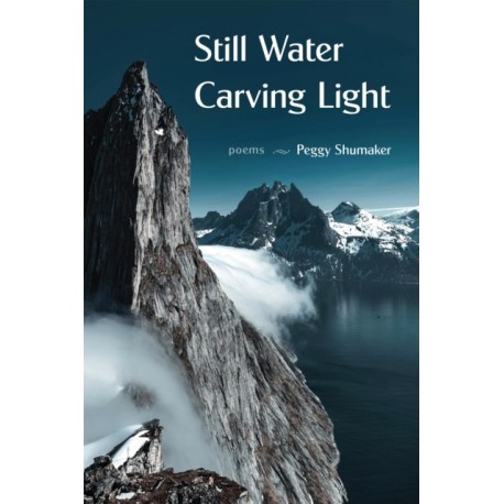 Still Water Carving Light: Poems