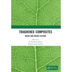 Toughened Composites: Micro and Macro Systems
