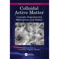 Colloidal Active Matter: Concepts, Experimental Realizations, and Models