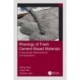 Rheology of Fresh Cement-Based Materials: Fundamentals, Measurements, and Applications
