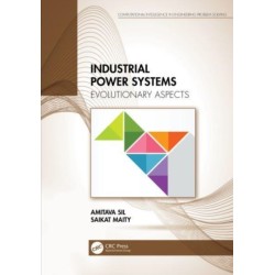 Industrial Power Systems: Evolutionary Aspects