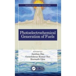 Photoelectrochemical Generation of Fuels