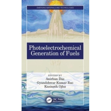 Photoelectrochemical Generation of Fuels