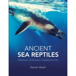 Ancient Sea Reptiles: Plesiosaurs, ichthyosaurs, mosasaurs and more