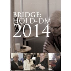 Bridge: Hold-DM 2014