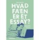 Hvad fa'en er et essay?