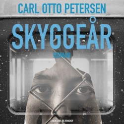 Skyggeår
