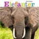 Elefanter