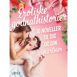Erotiske godnathistorier: 10 noveller til dig og din partner
