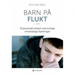 Barn på flukt : psykososialt arbeid med enslige mindreårige flytkninger