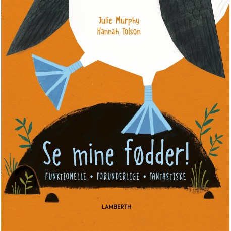 Se mine fødder!: Funktionelle, forunderlige, fantastiske