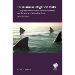 US Business Litigation Risks: A Comprehensive Handbook for Business Owners and the Attorneys Who Advise Them, Second Edition