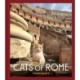 Cats of Rome